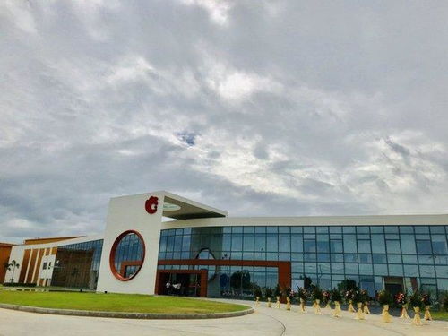 洽洽開啟堅果品牌全球化新征程，今娛生活引領健康休閑新風尚